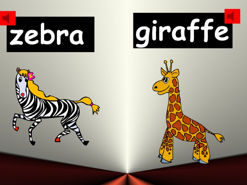 zebra giraffe